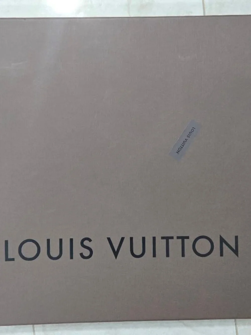Louis Vuitton this laptop